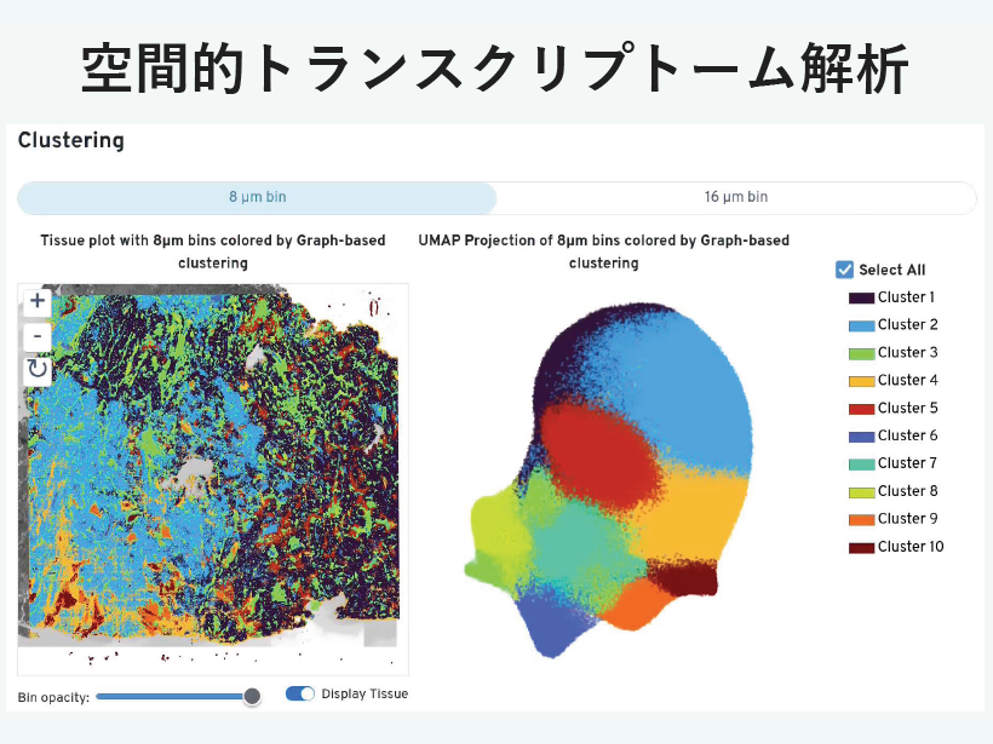 概要イメージ図