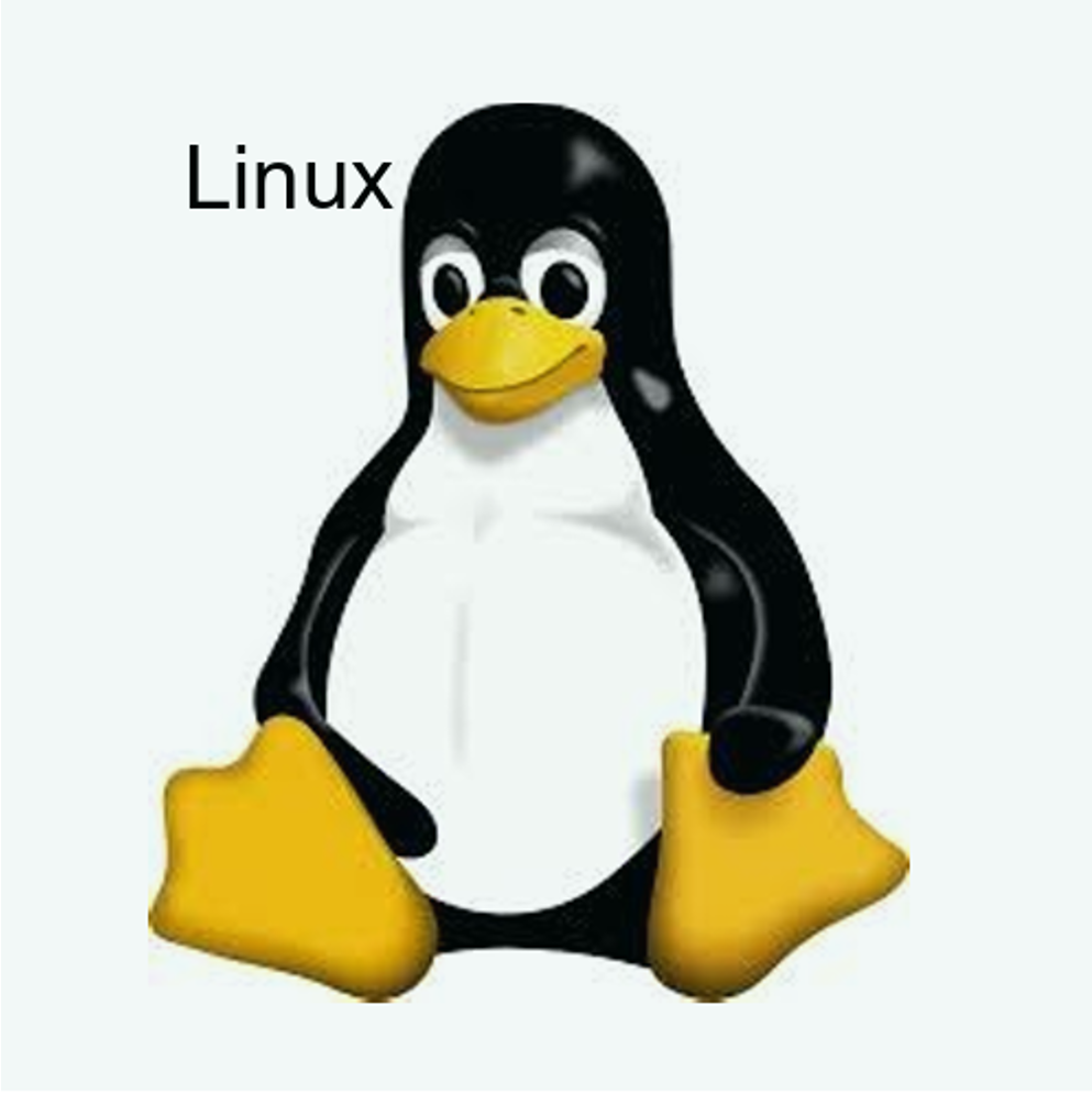 概要イメージ図